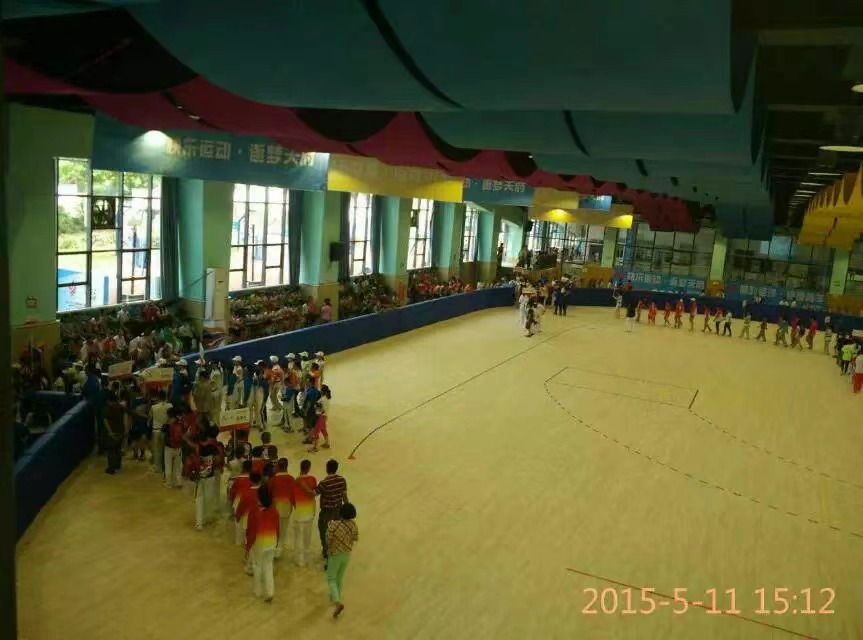 14.第九屆全國殘奧會、輪滑、手球比賽場地.jpg